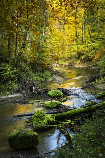 The Eistobel nature reserve