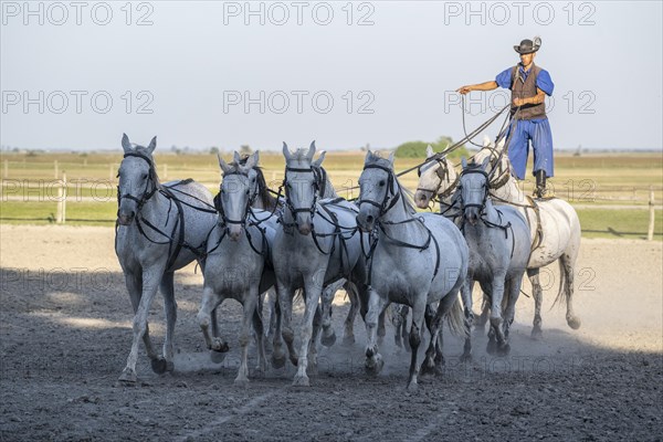 Riding demonstration