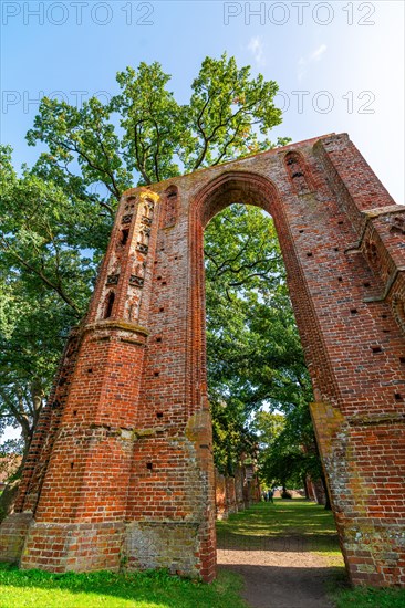 Ruin of Cistercian abbey Kloster Eldena