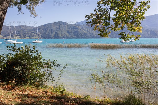 Attersee in front of Hoellengebirge