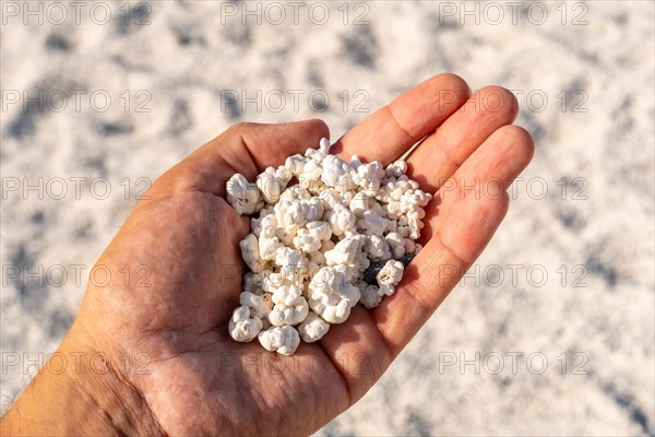 Popcorn Beach near the town of Corralejo