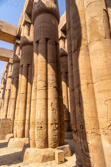 Precious columns with ancient egyptian drawings in Luxor Temple