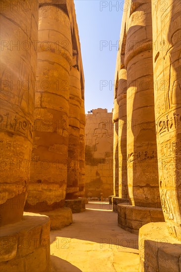 Giant columns of the temple of Karnak