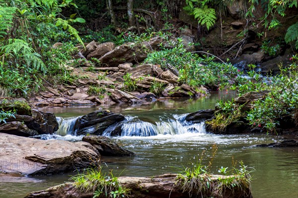 River of calm waters crossing the rainforest vegetation in Minas Gerias