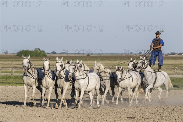 Riding demonstration