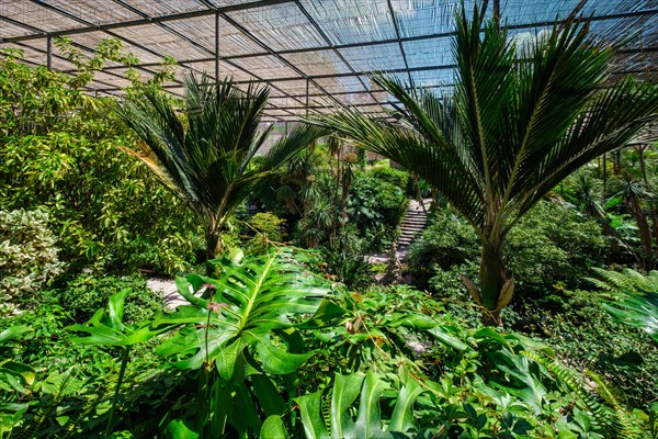 Interior view of the cold house Estufa Fria is a greenhouse with gardens