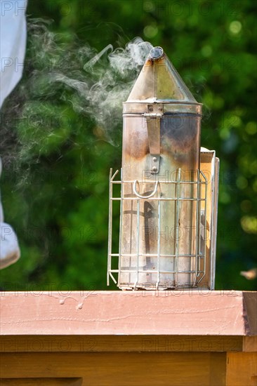 Bee boxes at the beekeeper