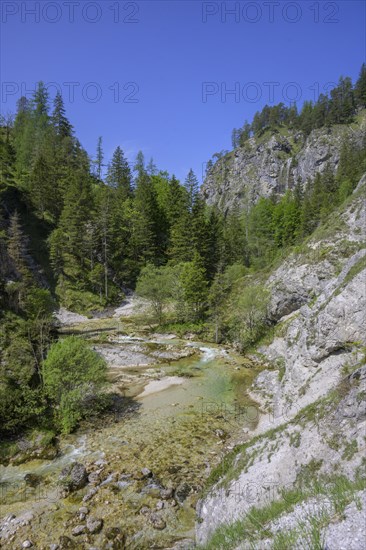 Oetscherbach in the Oetschergraben