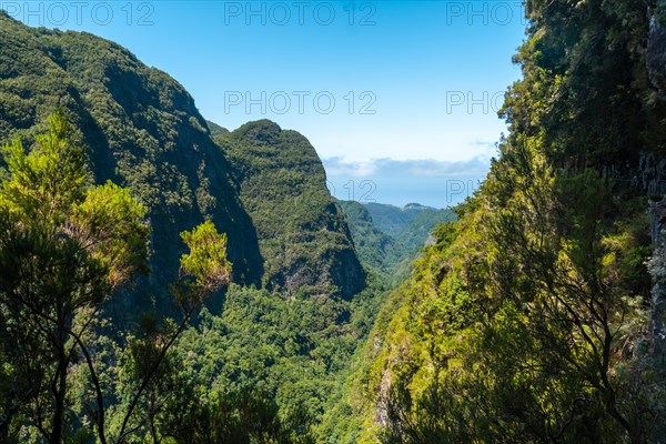 Views from the trekking trail on the cliffs at Levada do Caldeirao Verde