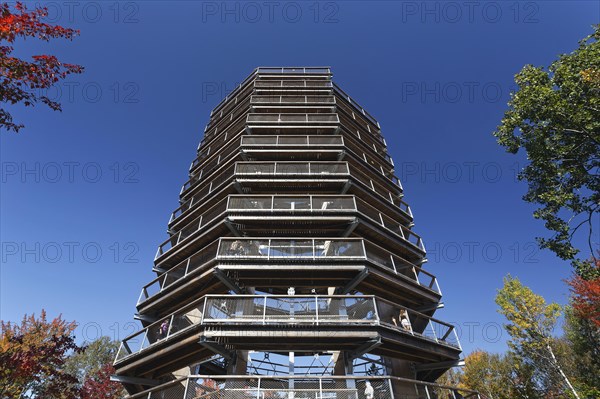 Tree top observation tower