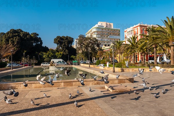 Pigeons at the water fountain in the Nicolas Salmeron park of the city of Almeria