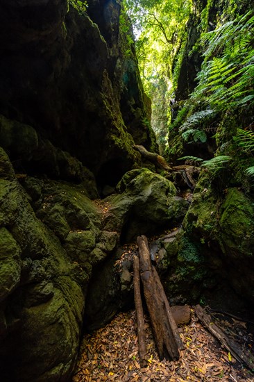 Strange access to enter the canyon of the natural park of Los Tinos on the northeast coast on the island of La Palma