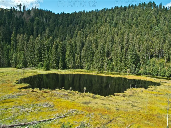 Huzenbacher See