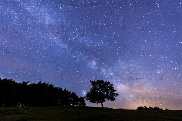 Via lactea precious on Mount Erlaitz in the town of Irun