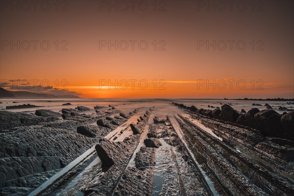 The incredible Flysch