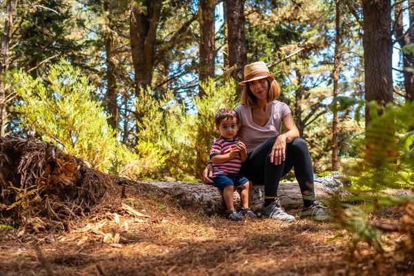 A mother with her son sitting on a tree in nature next to pine trees