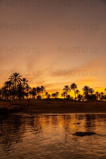 Silhouette of palm trees in an orange sunset in the town of Torrevieja. White coast
