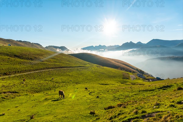 Sunrise at the top of Mount Larrau. In the forest or jungle of Irati