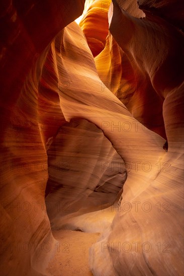 The wonders seen in Lower Antelope looking up. Arizona