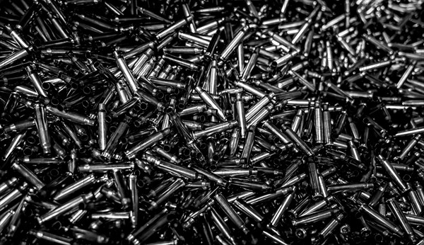 Large Group of Empty Bullets in Switzerland