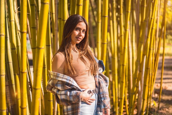 Autumn lifestyle in a bamboo forest