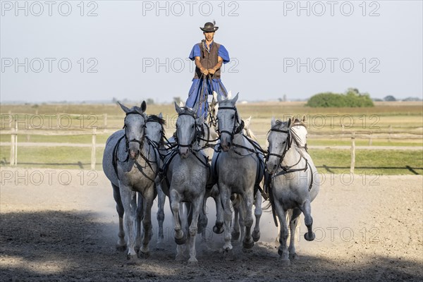 Riding demonstration