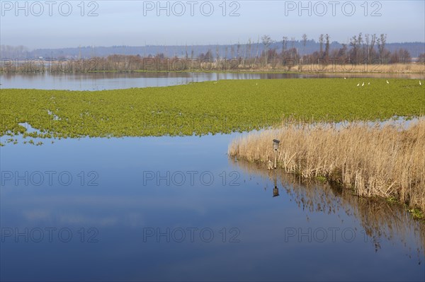 Polder