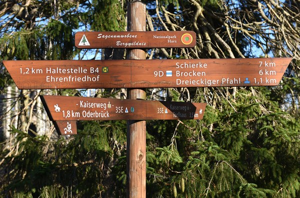 Signposts in the Harz Mountains