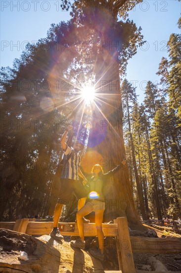 A couple in the giant General Sherman Tree tree in Sequoia National Park