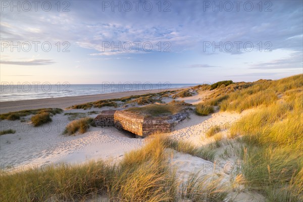 Destroyed bunkers in the dunes of Dunkirk