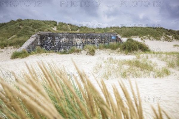 Destroyed bunkers in the dunes of Dunkirk