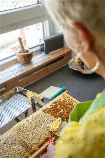 Honey combs at the beekeeper