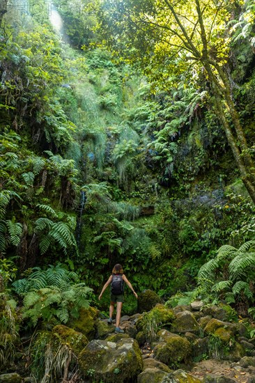 A young woman in the great green vegetation of the Levada do Caldeirao Verde trail