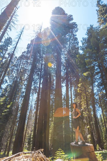 A woman in Giant trees in a meadow of Sequoia National Park