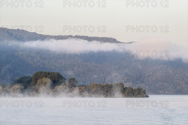 Morning Fog on the Danube