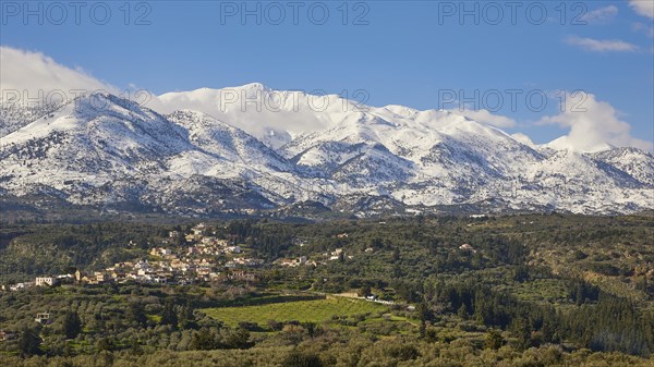 Winter landscape