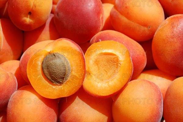 Many apricot