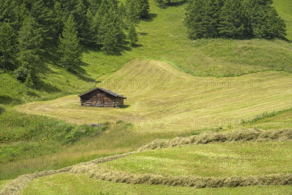 Freshly mown meadow and haystack