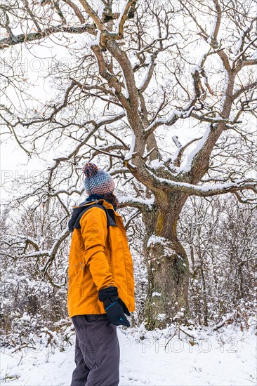 A young woman in a yellow jacket under a beautiful giant tree frozen by the winter cold. Snow in the town of Opakua near Vitoria in Araba