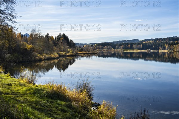 Lake Gruentensee in the Wertach valley in autumn. Trees in autumn leaves are reflected in the calm lake. Good weather