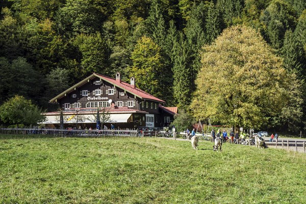 Berggasthof Giebelhaus