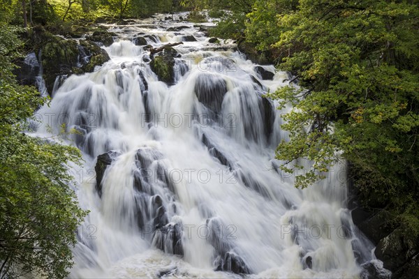 Swallow Falls