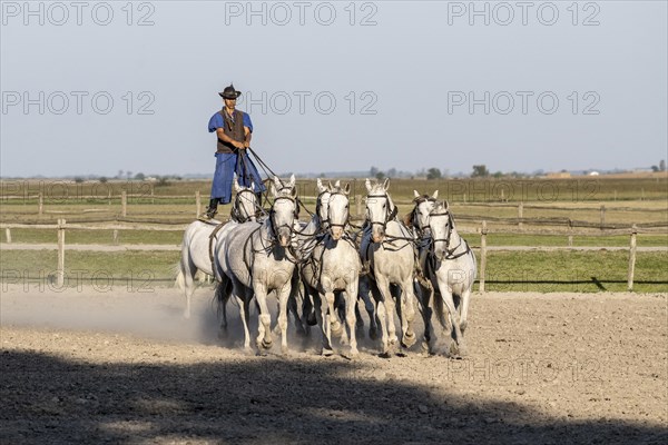 Riding demonstration