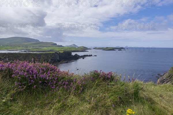 Landscape at Skellig Ring