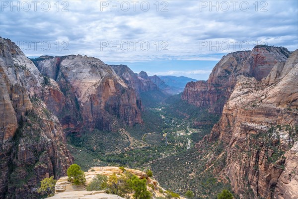 The Zion Canyon seen from the Angels Landing Trail up the mountain in Zion National Park