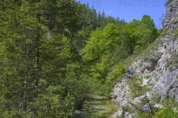Hiking trail in the Oetschergraben