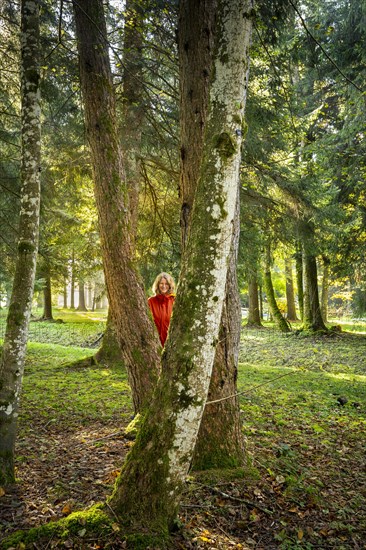 A woman stands in a park landscape or forest landscape and looks between tree trunks