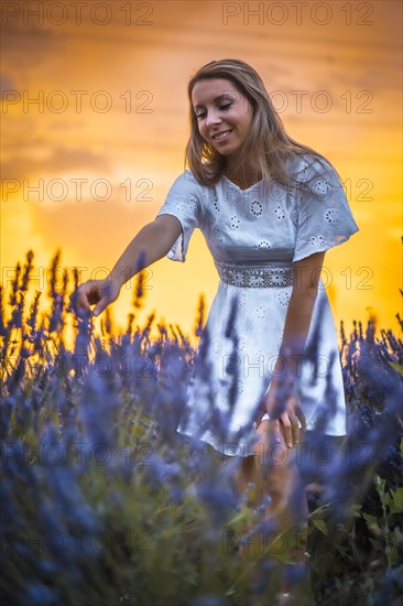 A young blonde Caucasian woman in a white dress in a cultivated lavender field in Navarra