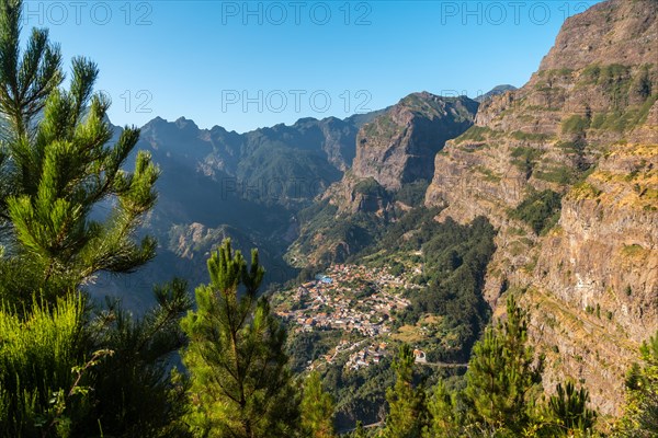 Vegetation from the Eira do Serrado viewpoint