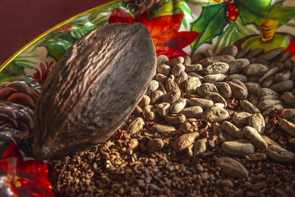 Detail of dry chocolate cocoa and its fruit on a plate on Roatan Island. Honduras